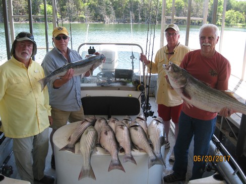 Nice Striped Bass